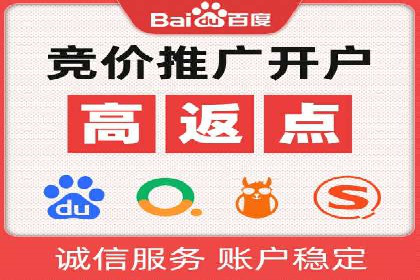 SEM主管实战：案例分析与优化策略